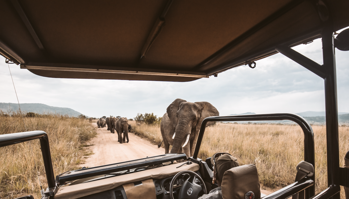 Save on a Collette Tour to South Africa, Offering the Best of Culture and Wildlife